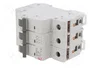 ETI POLAM Interruptor magnetotérmico ETIMAT 6 3P C10 10A 6kA