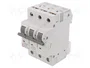 ETI POLAM Interruptor magnetotérmico ETIMAT 6 3P C10 10A 6kA