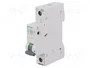 SIEMENS 5SL6125-7 Interruptor magnetotérmico 25A 1 Polo Curva C