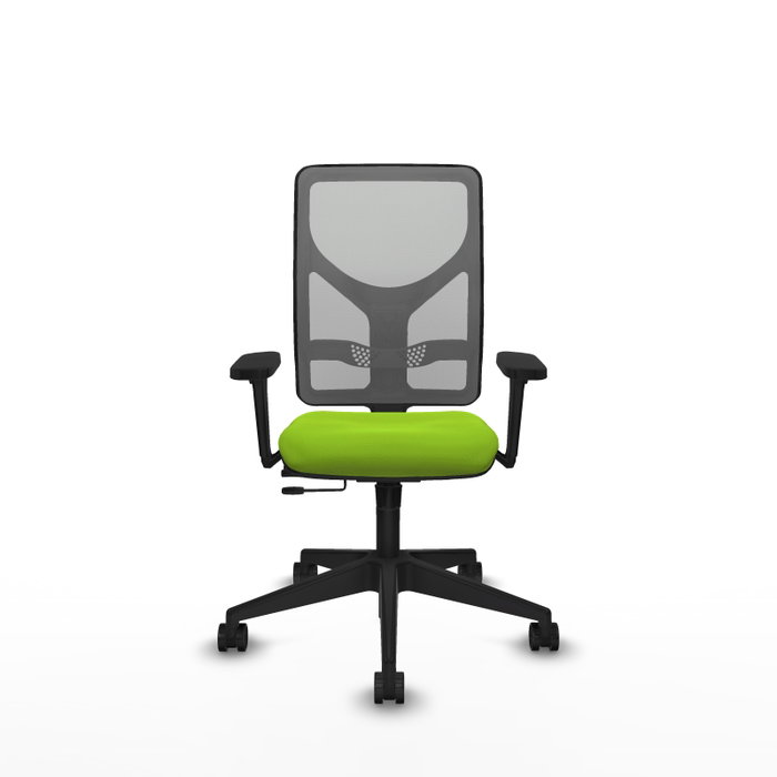 PIQUERAS Y CRESPO Silla de oficina Motilla Pistacho/Gris con Brazos 3D PIQUERAS Y CRESPO Silla de oficina Motilla Pistacho/Gris con Brazos 3D