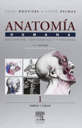 ELSEVIER EDITORIAL Anatomía humana (4 tomos)