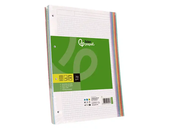 Liderpapel Recambio A5 120 hojas 75gr cuadro 5mm sin margen 6 taladros bandas de 5 colores