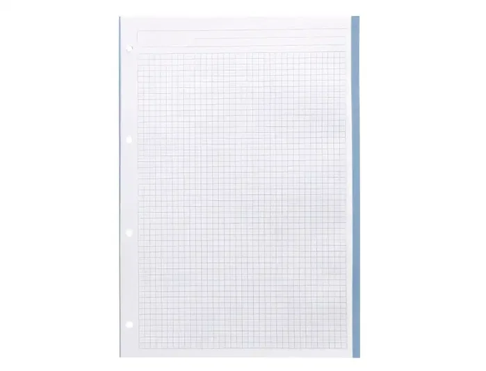 Liderpapel Recambio A5 120 hojas 75gr cuadro 5mm sin margen 6 taladros bandas de 5 colores