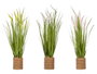 IBERGARDEN Ramillete Cuerda Espigas Surtidos Col 30 cm x 69 cm x 30 cm (Set de 3)