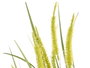 IBERGARDEN Ramillete Cuerda Espigas Surtidos Col 30 cm x 69 cm x 30 cm (Set de 3)