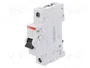 ABB S200 Interruptor magnetotérmico 1 polo 6A 6kA