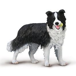 Collecta Border Collie L 80012 Réplica a escala de perro pintada a mano de alta calidad para coleccionistas y juego educativo +3 años