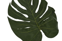 DKD Home Decor Hoja Tropical Little Monstera Verde 67 x 25 x 0.5 cm (12 Unidades)