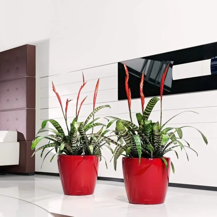 Maceta LECHUZA Classico Premium LS 50 - juego completo, color topo brillante