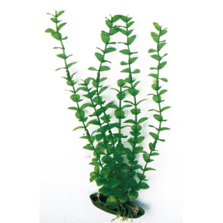 Nayeco Planta Plástico Rotala 18 cm