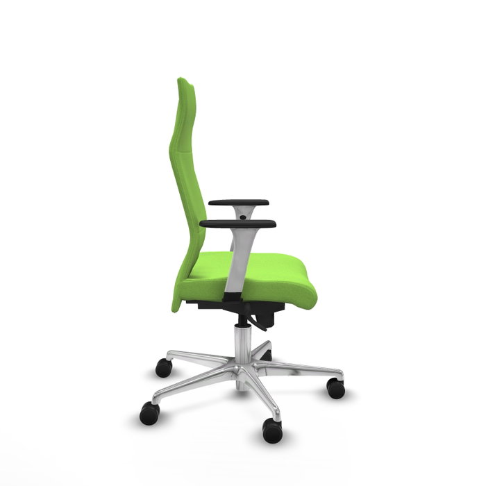 PIQUERAS Y CRESPO Sillón Albacete Pistacho con Mecanismo Sincro y Base de Aluminio PIQUERAS Y CRESPO Sillón Albacete Pistacho con Mecanismo Sincro y Base de Aluminio