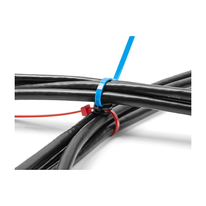 DeLOCK 18913 Placa acopladora para organización de cables, Negro, 100 piezas