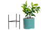 DKD Home Decor Set de Plantas de Gres y PE 7x7x22 Surtido de 3 Colores
