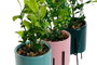 DKD Home Decor Set de Plantas de Gres y PE 7x7x22 Surtido de 3 Colores