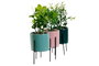 DKD Home Decor Set de Plantas de Gres y PE 7x7x22 Surtido de 3 Colores
