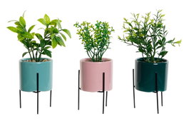 DKD Home Decor Set de Plantas de Gres y PE 7x7x22 Surtido de 3 Colores