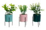 DKD Home Decor Set de Plantas de Gres y PE 7x7x22 Surtido de 3 Colores