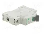 SCHNEIDER ELECTRIC Easy9 Pro EZ9F-C63-1 Interruptor magnetotérmico 63A 1P 6kA