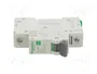 SCHNEIDER ELECTRIC Easy9 Pro EZ9F-C63-1 Interruptor magnetotérmico 63A 1P 6kA