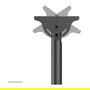 Neomounts CL35-440BL16L Soporte Techo Monitor/TV 37-70" 150x200mm 600x400mm -25°-0° -180°-180° 6° Negro