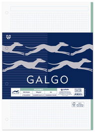 Recambio Galgo A4 100H 100Gr 4 Taladros Cuadric.5X5 C/Margen (5 Colores En Banda)