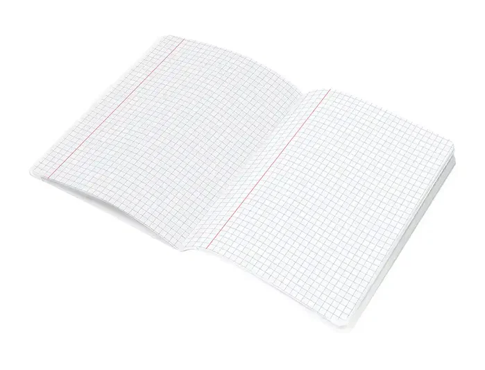 Liderpapel Libreta Scriptus A5 48 Hojas 90gr Cuadro 6mm Con Margen