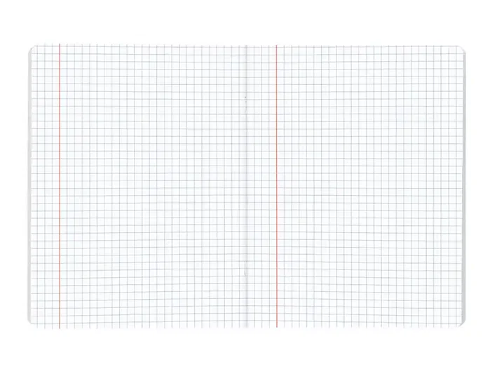 Liderpapel Libreta Scriptus A5 48 Hojas 90gr Cuadro 6mm Con Margen