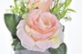 DKD Home Decor Planta Melocoton Blanco 13 x 18 x 13 cm (12 Unidades)