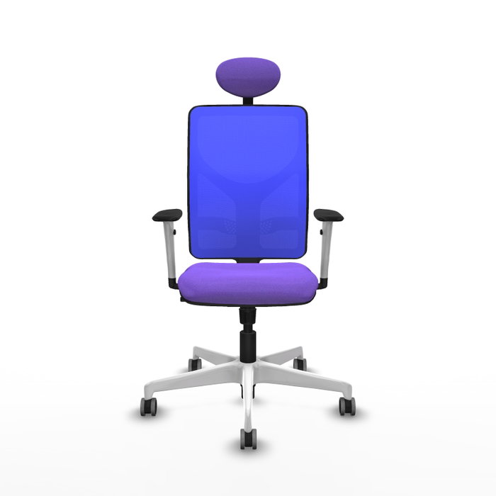 PIQUERAS Y CRESPO Silla de oficina Motilla con mecanismo Sincro, Tela Lila y Malla Azul PIQUERAS Y CRESPO Silla de oficina Motilla con mecanismo Sincro, Tela Lila y Malla Azul