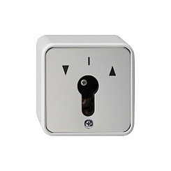 GIRA 014430 Interruptor de llave 2-pol de montaje en superficie gris