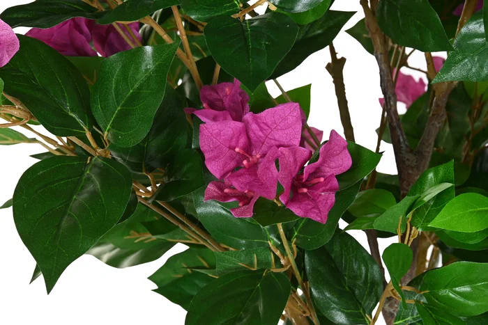 DKD Home Decor Árbol de Buganvilla Fucsia 80x80x176 cm