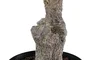 DKD Home Decor Árbol de Buganvilla Fucsia 80x80x176 cm