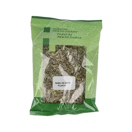 PLAMECA Rabo de Gato Planta Triturada 50 g