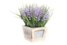 DKD Home Decor Planta de Campanilla Lila 24x24x24 cm