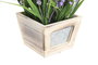 DKD Home Decor Planta de Campanilla Lila 24x24x24 cm