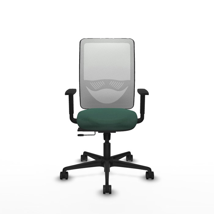 PIQUERAS Y CRESPO Silla de oficina Zulema con mecanismo Sincro/Traslack, Verde botella y Blanco PIQUERAS Y CRESPO Silla de oficina Zulema con mecanismo Sincro/Traslack, Verde botella y Blanco
