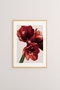 Wallity Nwyearsngmdl82 Pintura Decorativa Enmarcada 33 x 48 cm