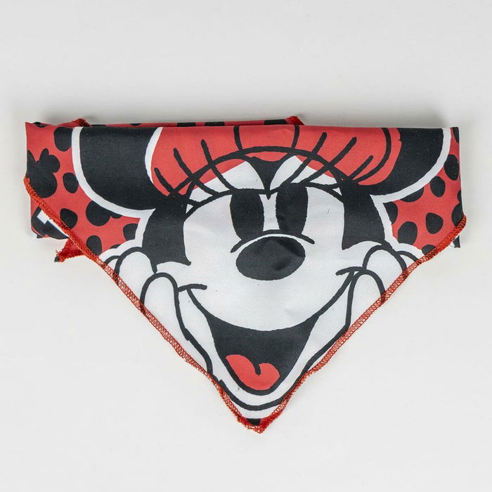 Set de Regalo de Bienvenida para Perros Minnie Mouse Rojo 28 x 30 x 6,8 cm 5 Piezas
