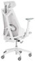 Asus ROG Destrier Ergo Core White