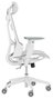Asus ROG Destrier Ergo Core White