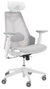 Asus ROG Destrier Ergo Core White