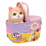 Moose Gatita Mama Surprise Kitty Little Live Pets con sonidos