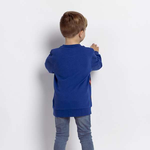 Cerdá Sudadera Cotton Brushed Paw Patrol 5 años Niña Cerdá Sudadera Cotton Brushed Paw Patrol 5 años Niña