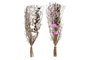 DKD Home Decor Ramo de Flores Secas Surtido 30x30x65 cm