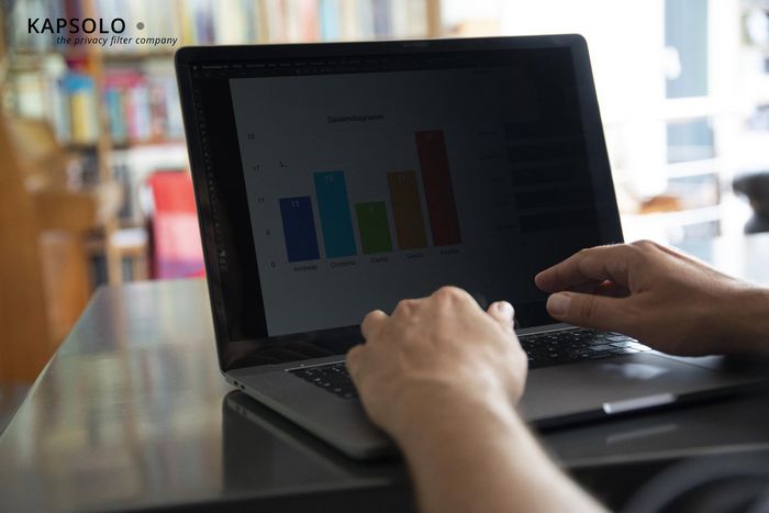 Kapsolo Filtro de Privacidad 29,5cm (11,6") Wide 16:9 para Pantallas Anti-Espionaje