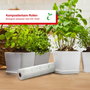 Solis Eco Rolls 30x600cm Compostables (Pack de 2) Película de Envasado al Vacío Transparentes