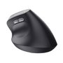 Trust TM-270 Ratón Ergonómico Vertical Inalámbrico Recargable 2400 DPI Negro