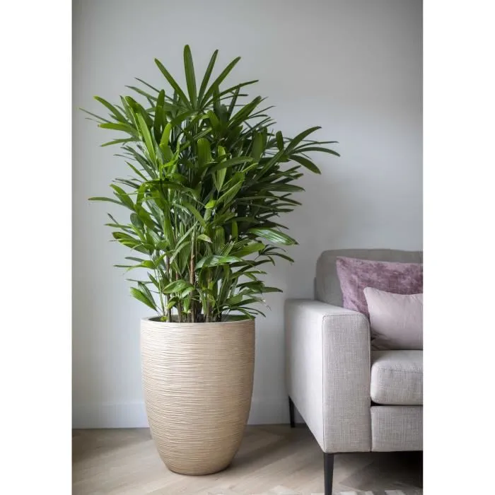 Capi Europe Jarrón bajo elegante WASTE RIB NL 46 x 58 cm Terrazo beige