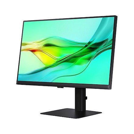SAMSUNG Monitor LS24D604UEUXXE de 24 pulgadas Dual QHD IPS 100 Hz Negro