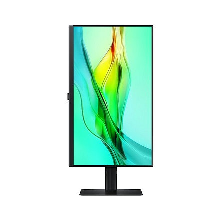 SAMSUNG LS24D604UEUXXE Monitor de 24 pulg. Dual QHD IPS 100 Hz HDR
